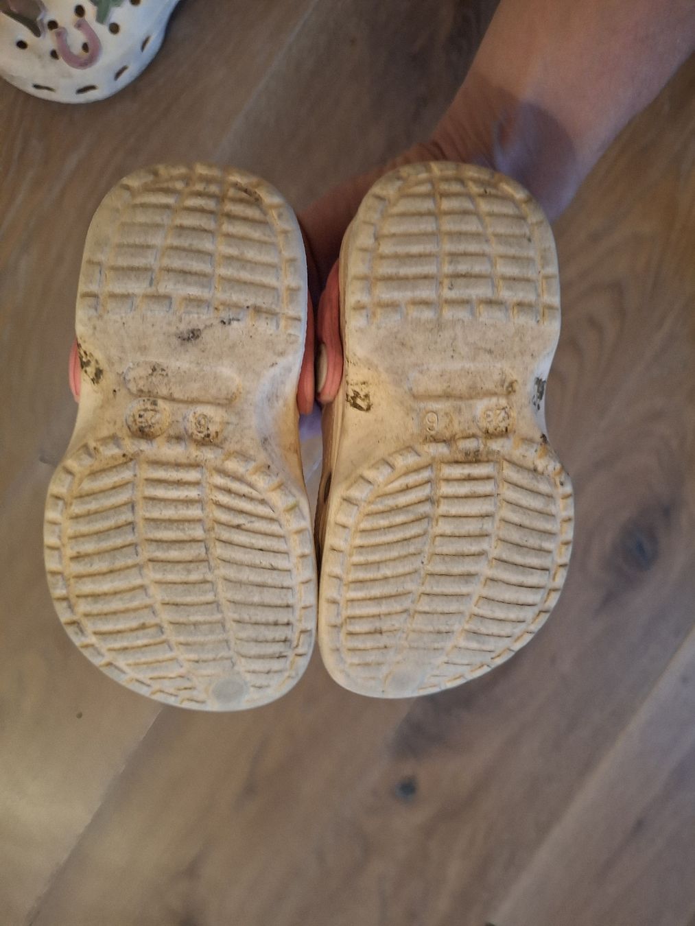 Crocs Schuhe für Mädchen: Crocs Gr.23 – Gebraucht aus Rapperswil BE von Wald146 1