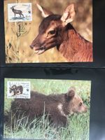 Italien 1991 Satz WWF Braunbär Rothirsch Maximumkarten