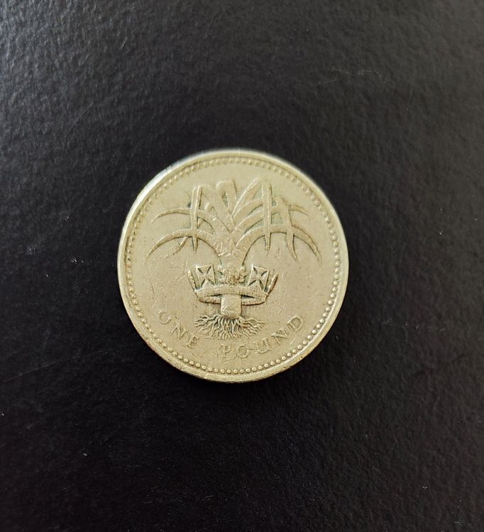 1-pound-m-nze-grossbritannien-1985-gebraucht-in-lenzburg-f-r-chf-1-7