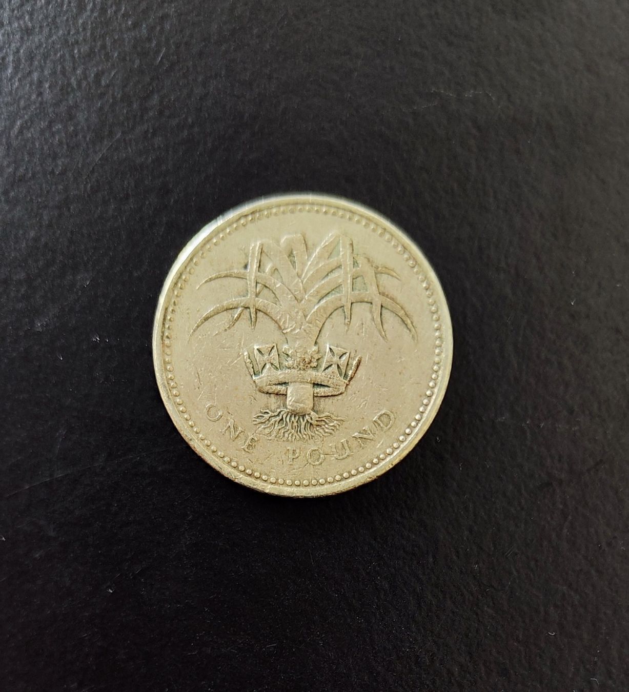 Alle Münzen: 1 Pound Münze Grossbritannien 1985 – Gebraucht aus Lenzburg von Dani_Lenzburg