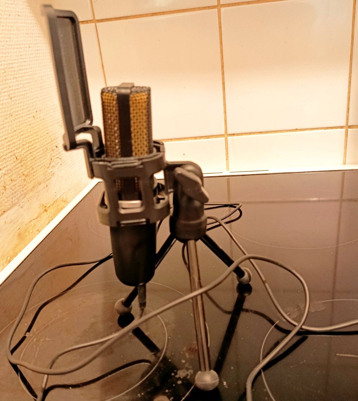 Mikrofone: Microphone Tonor TC-777 – Gebraucht aus Les Acacias von Dame_Shakti 1