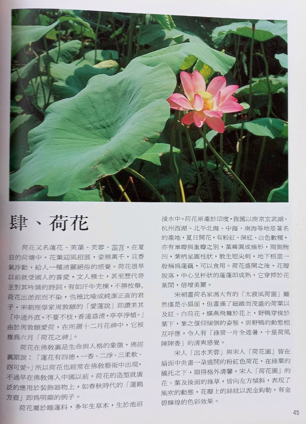 Bücher: Chinesische Malerei - Lehrbuch - Chinesisch – Gebraucht aus Niederuzwil von lubimaja 4