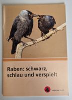 Raben: Schwarz, schlau und verspielt Vogelwarte – Top