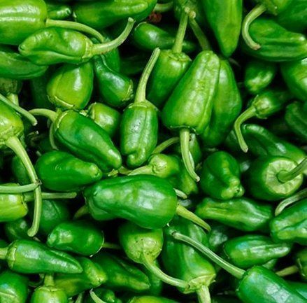Pflanzen & Samen: 100 SAMEN GRüNE BRATEN PEPERONI – Neu und originalverpackt aus Rovio von POSITIFFARTandPLANTS 1
