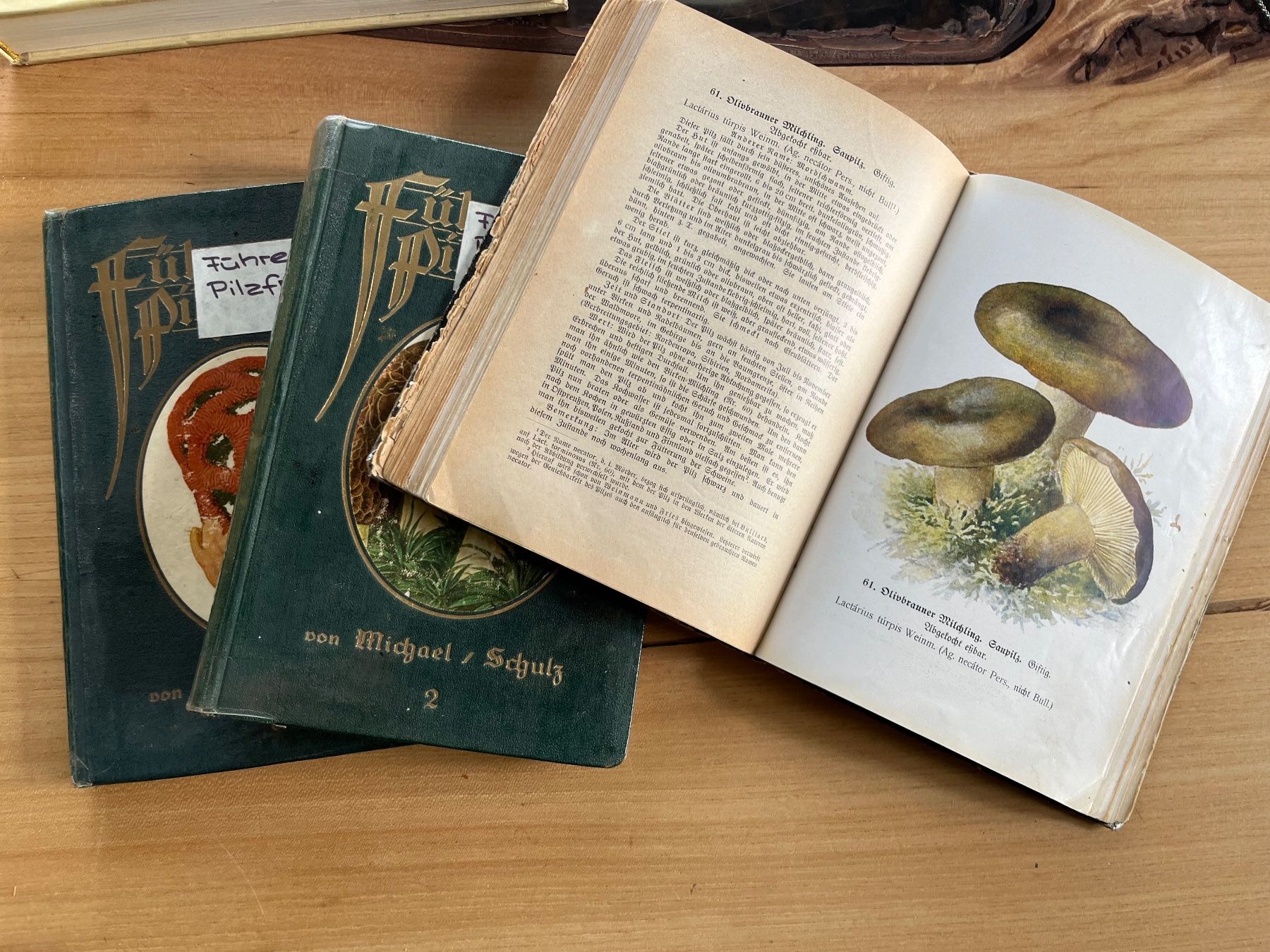 Libri: Pilzbücher diverse antiquarisch – Usato da Märwil venduto da tricholoma 7