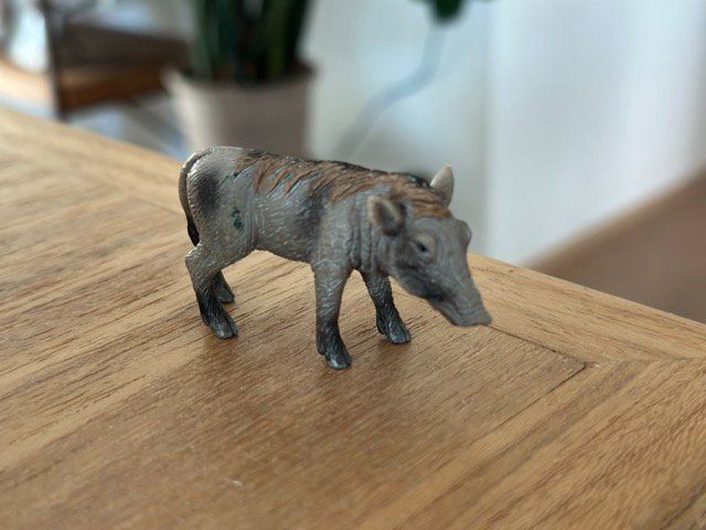 Schleich Statuette: Schleich Wildschwein Sammelfigur – Usato da Fällanden venduto da SafariSchleichCH