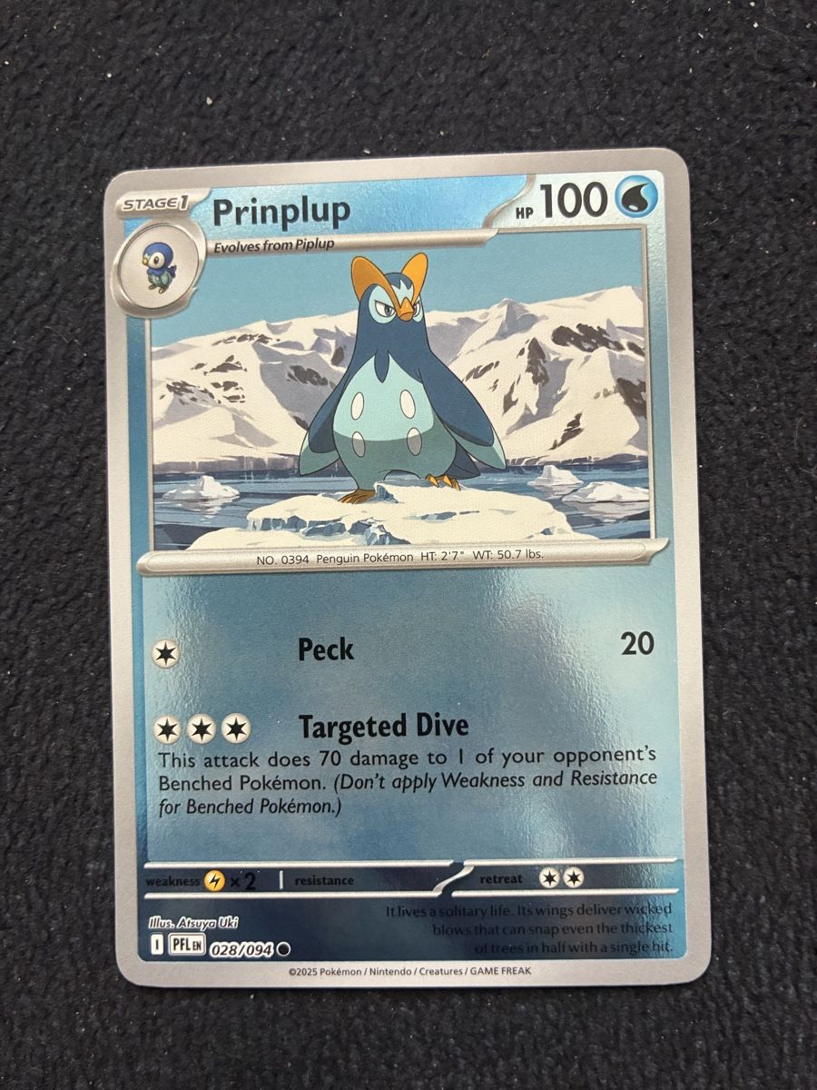 Pokémon Carte collezionabili: POKEMON CARDS PHANTASMAL FLAMES REVERSE # 28 – Nuovo (secondo la descrizione) da Taverne venduto da YOHISTORE