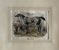 Farblithographie, Cheval Anglais, Pferd, um 1850, signiert