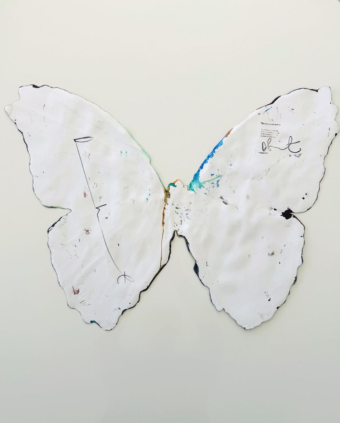 Tableaux: Damien Hirst Spin Painting Butterfly – D'occasion à Kreuzlingen par ARAGON68 6