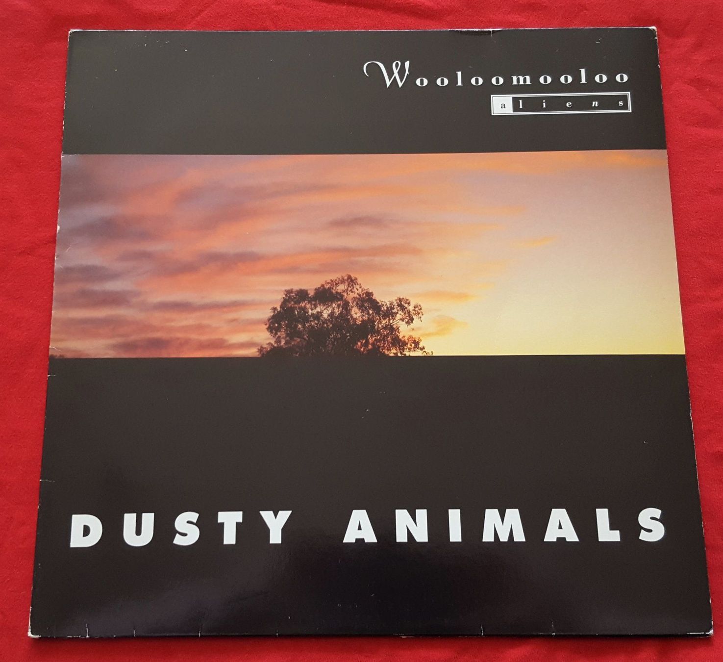 Schallplatten: Wooloomooloo Aliens – Dusty Animals - 1989 - CH First Press – Gebraucht aus Uster von Zardodel