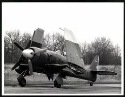 Fotografie Flugzeug Hawker Sea Fury T205