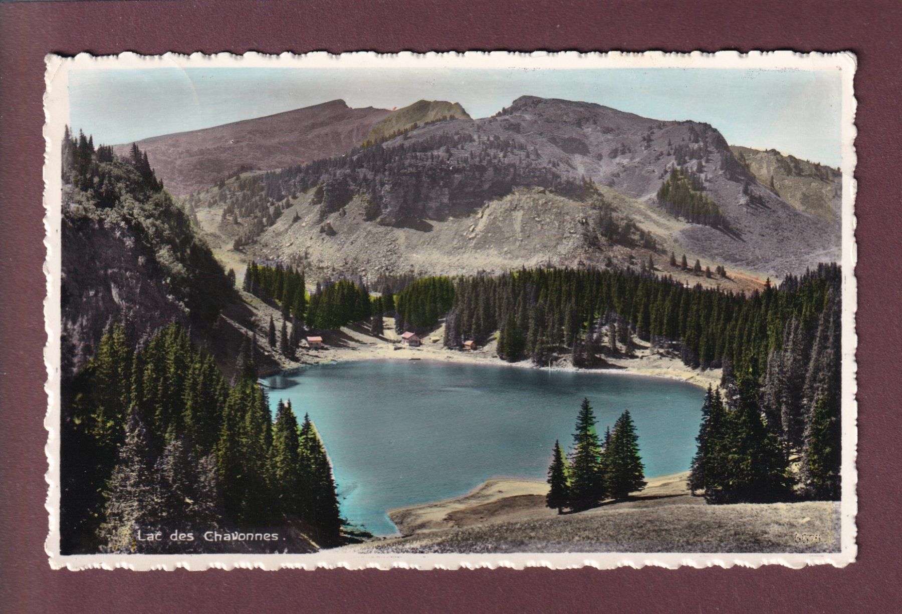 Cartoline postali: LAC DES CHAVONNES - 1960 – Usato da Pully venduto da nicecards