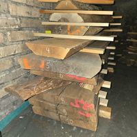10 Nussbaumbretter / Bohlen – Naturkante, bis 260 cm