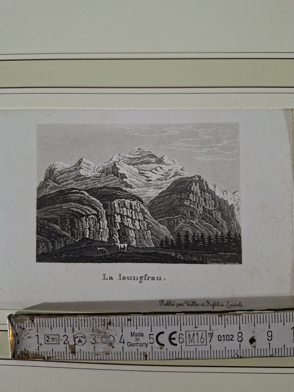Incisioni: Lot 60 , 10 Stiche  – Usato da Grindelwald venduto da carro5 6