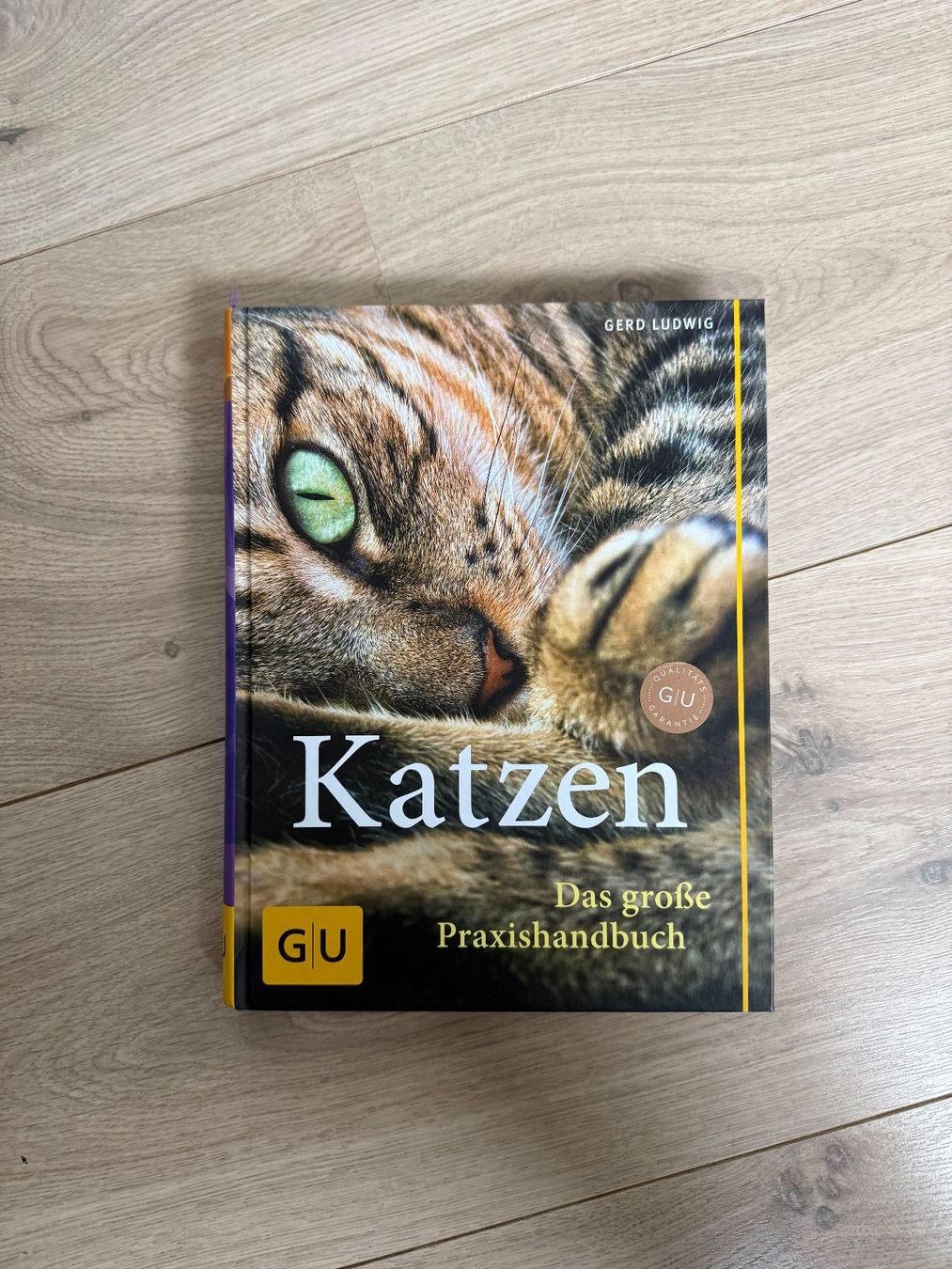 Libri: GU Katzen Das gross Praxishandbuch / Ratgeber – Usato da Thörishaus venduto da Swaxx