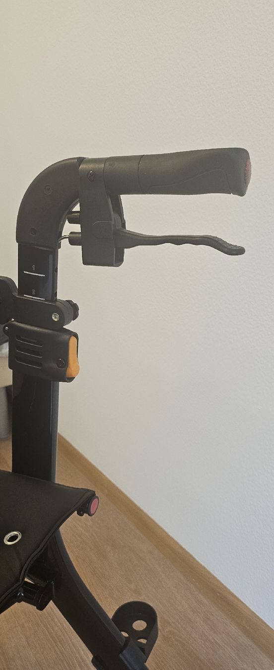 Ausili per la deambulazione: Rollator Bescomedical aus Carbon  – Usato da Basel venduto da Xanperican 2