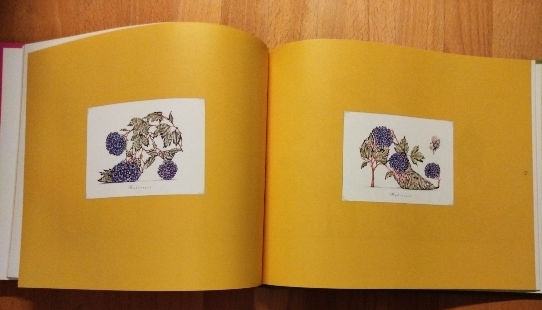 Bücher: The Botanical Footwear Dennis Kyte – Gebraucht aus Niederglatt ZH von Siegfried67 4