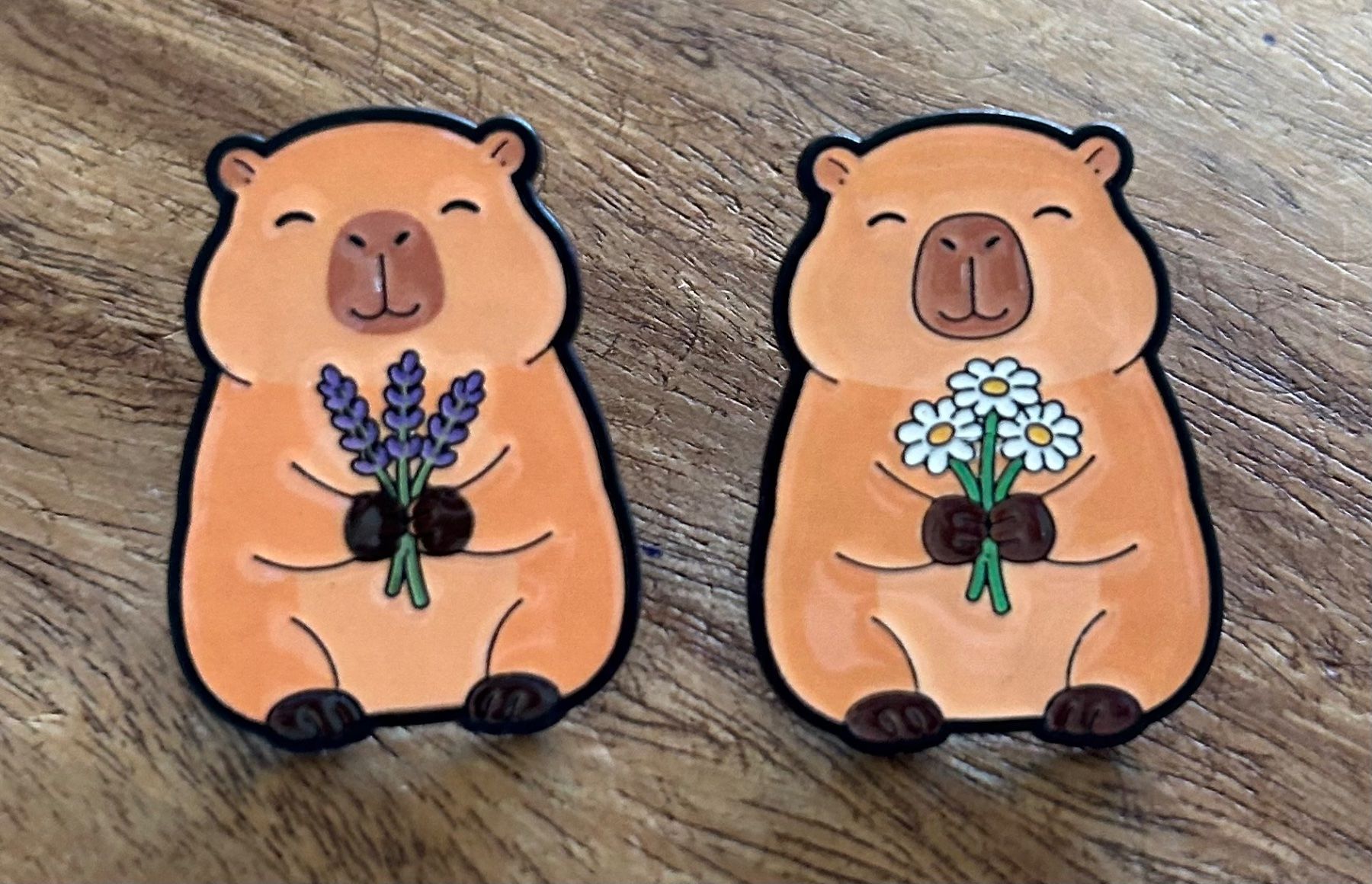 Plaketten & Abzeichen: Set 2x Pin Capybara – Neu und originalverpackt aus Geneve von vane267
