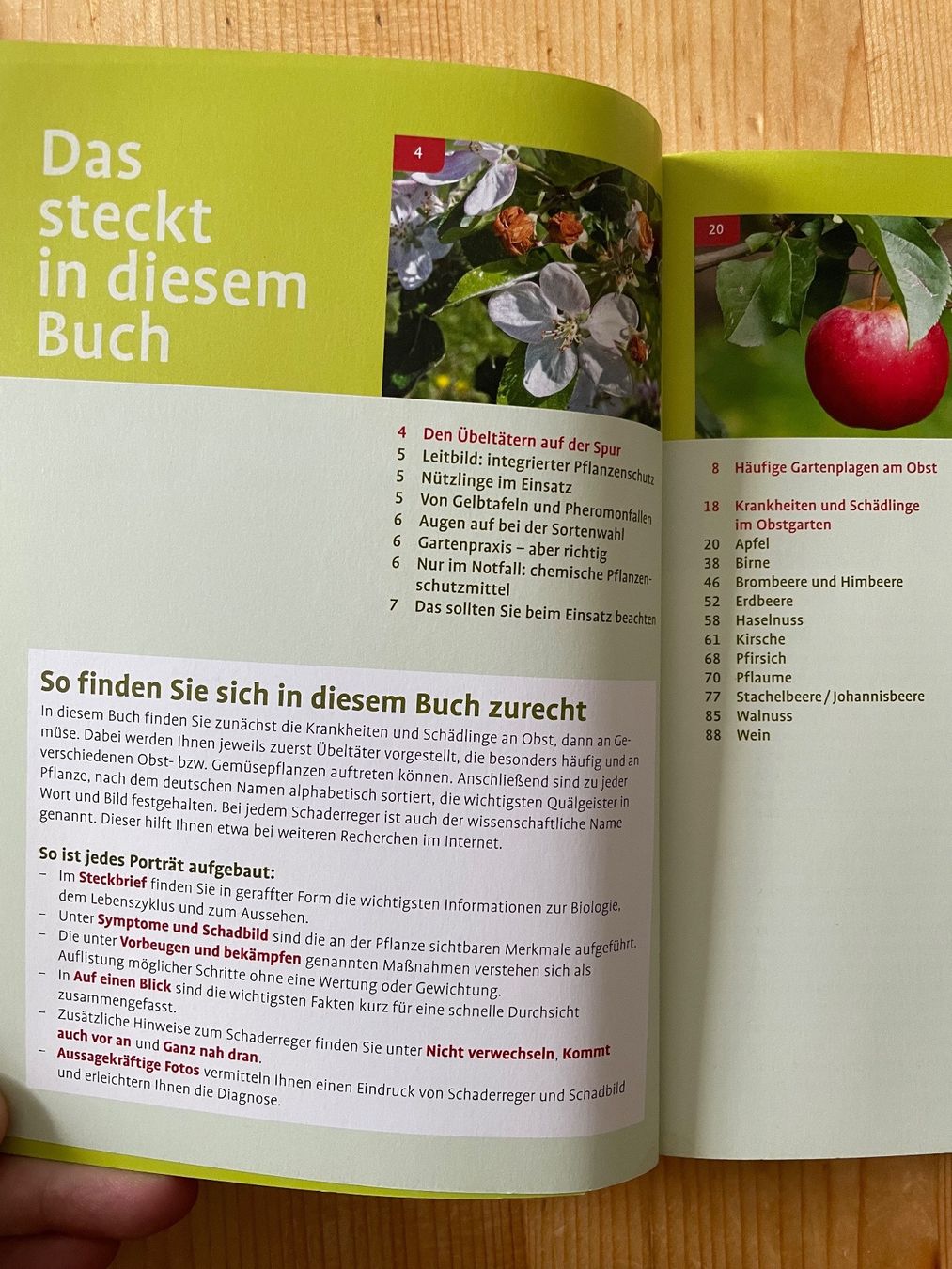 Libri: Pflanzenschutz  Nutzgarten - Aus die Laus – Usato da Sent venduto da ManuelB07 2