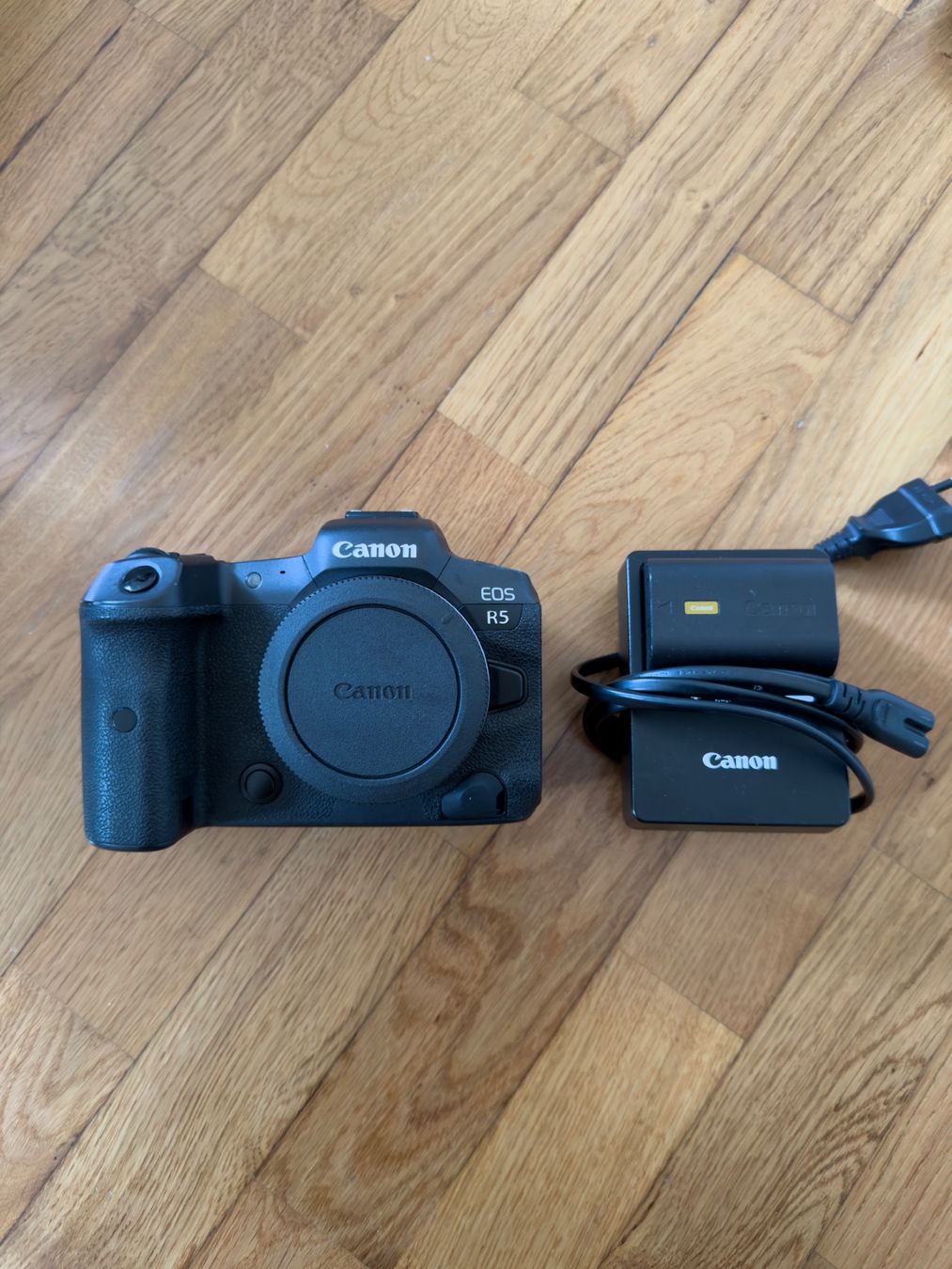 Canon Kamera: Canon EOS R5 – Gebraucht aus Felsberg von michaela_773 4