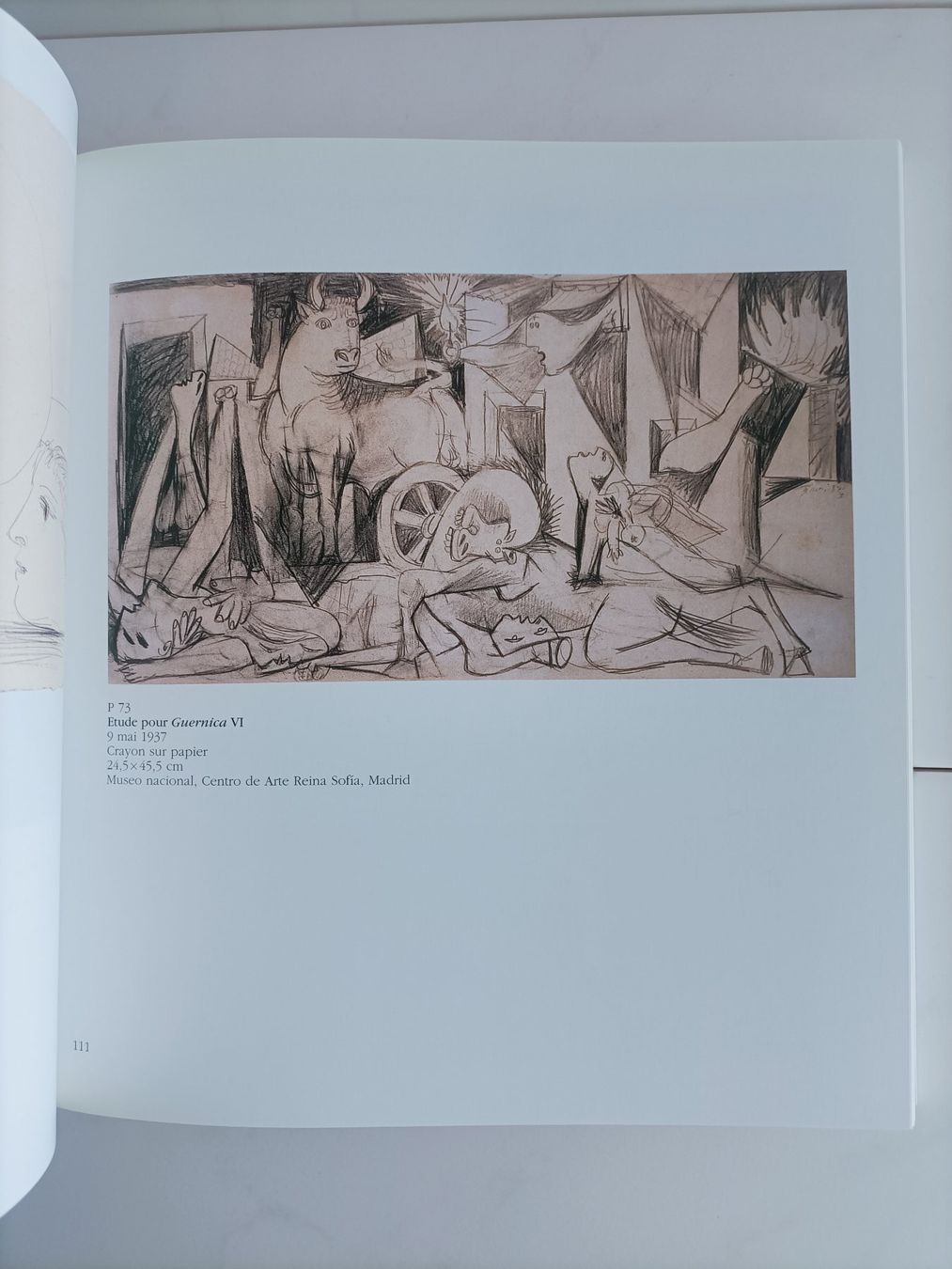 Libri: Picasso - Sous le soleil de Mithra / Jean Clair / Gianadda 2 – Usato da crans montana venduto da AB3963 2