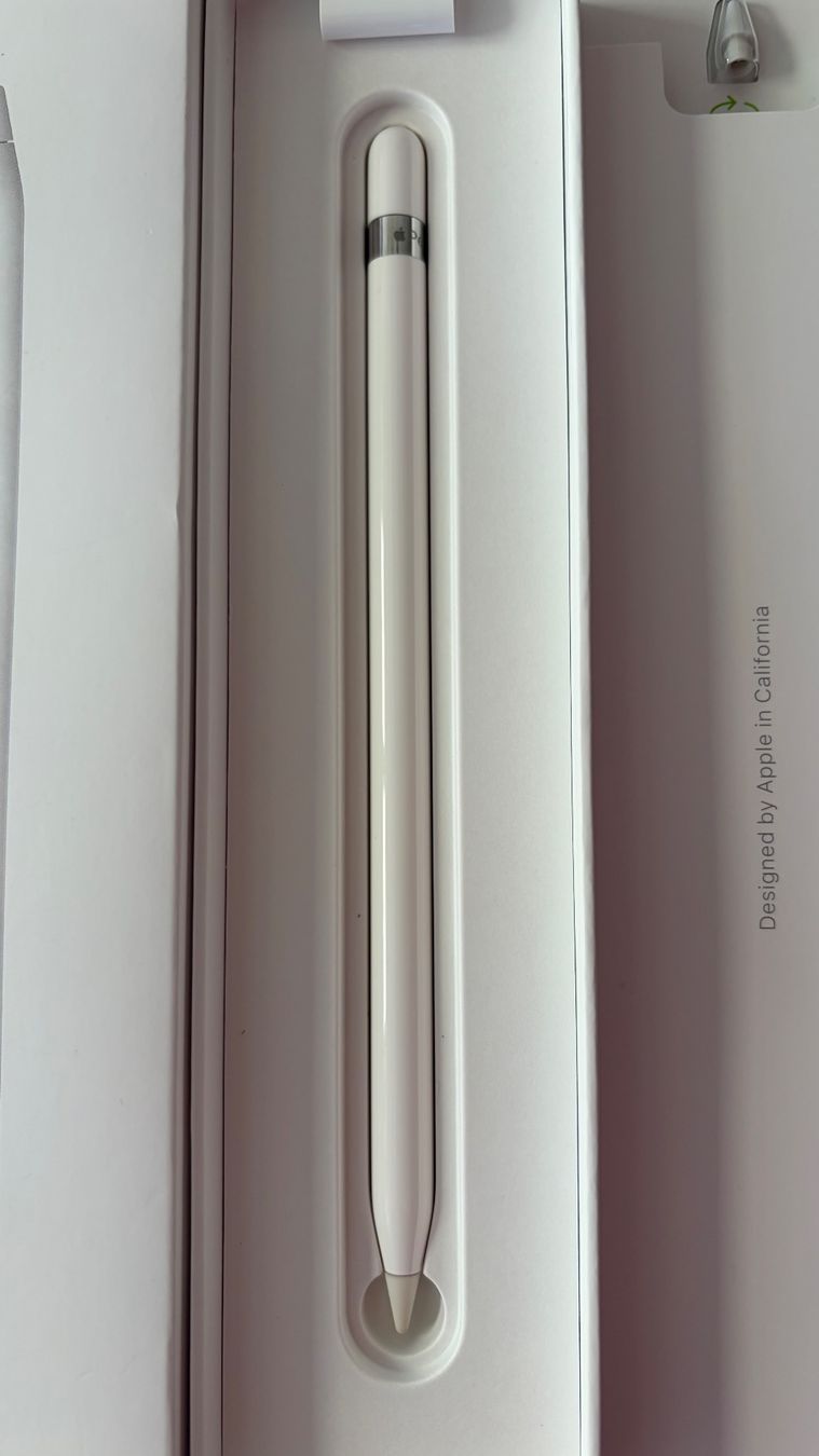 Apple Penna & Evidenziatori: Apple Pencil (1. Generation) – Usato da Zürich venduto da spiritmidnight 1