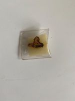 Pin