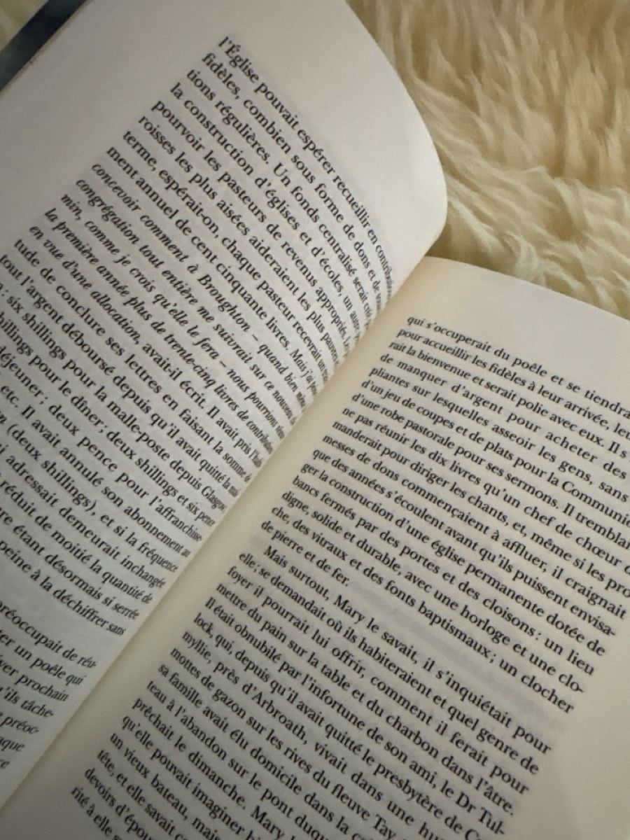 Livres: Livre en Français de 2024  "Éclaircie"  – Neuf (Voir description) à Ste-Croix par choupy60 2