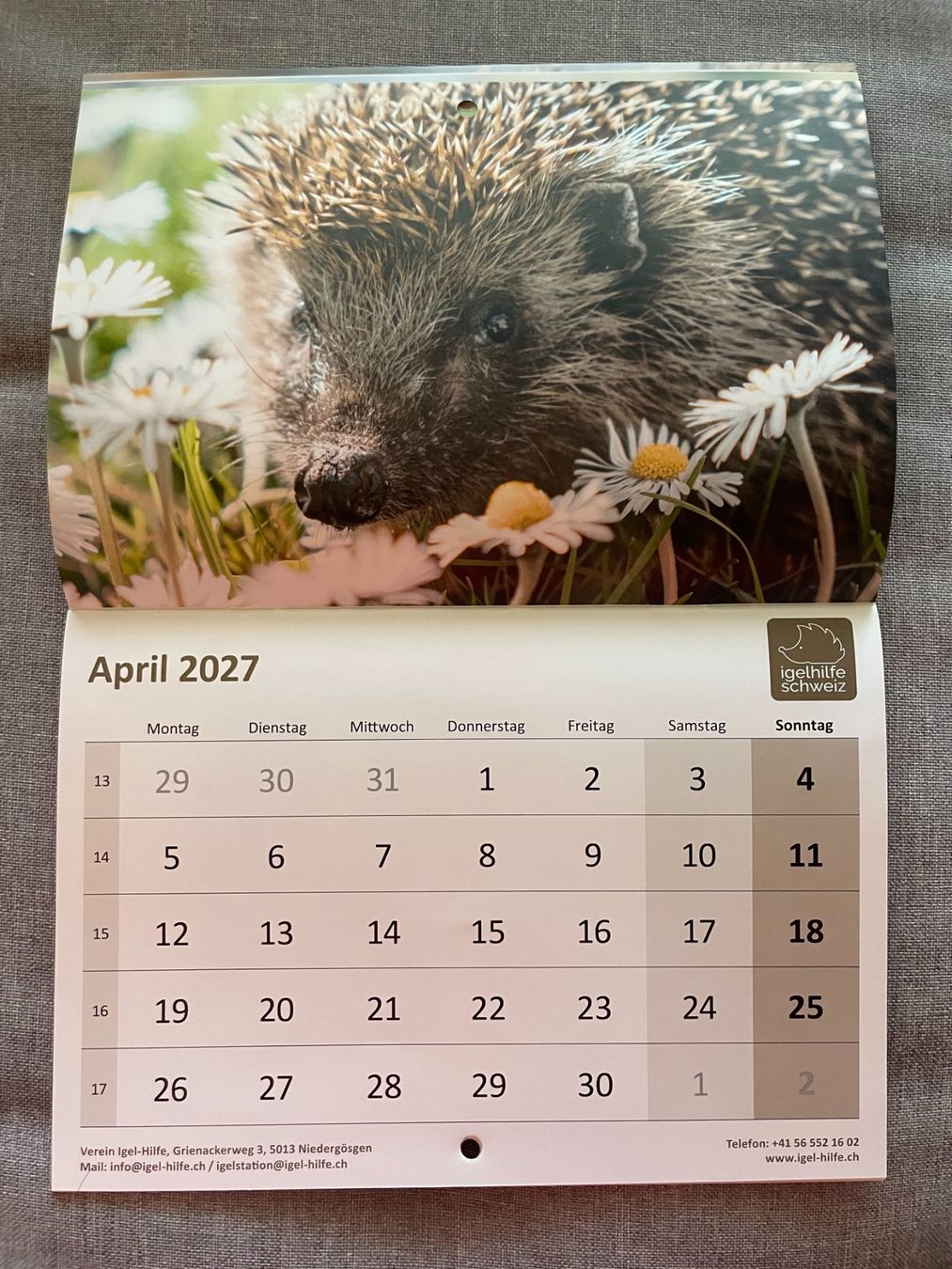 Calendari: Igelkalender 2027 - Igelhilfe Schweiz – Nuovo (secondo la descrizione) da Zollikofen venduto da england9 3