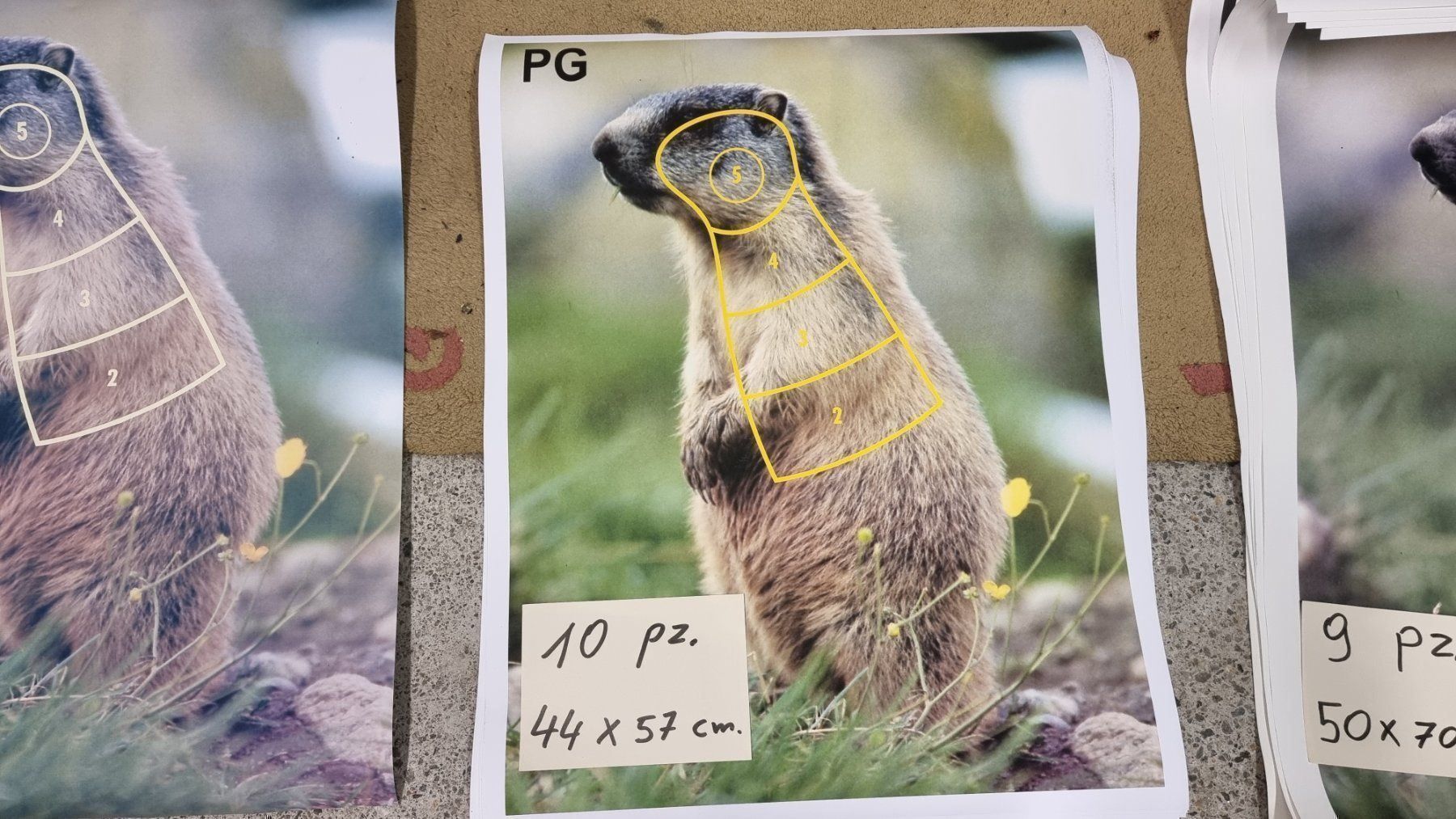 Cartoline postali: MURMERLTIERZIELE – Usato da Cama venduto da anto_a 2