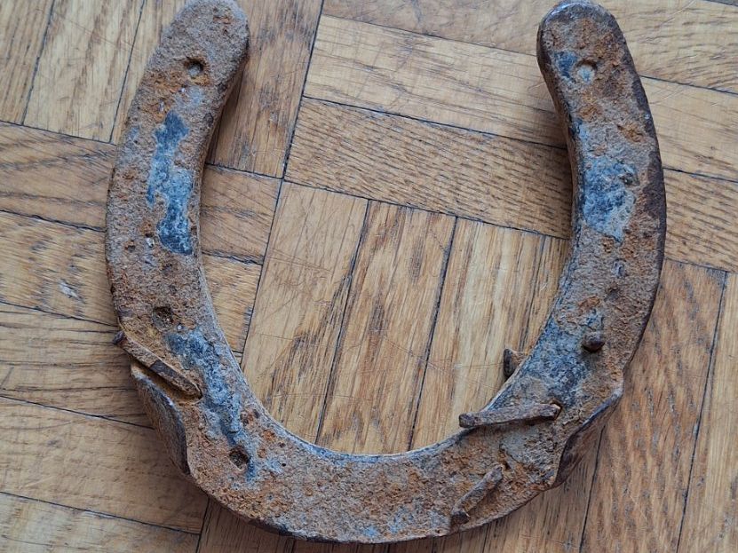 Altro in Accessori per animali: Hufeisen – Usato da Wetzikon ZH venduto da NaWetzi 2