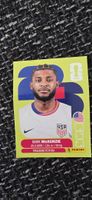 Panini USA 5