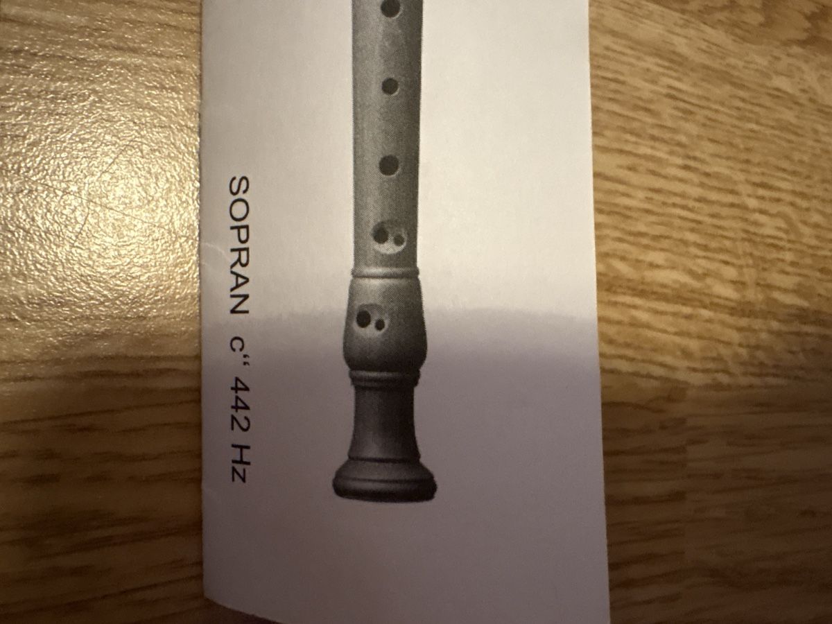 Strumenti musicali: Küng Studio Blockflöte – Nuovo (secondo la descrizione) da Zollikon venduto da ale_x2b2 1