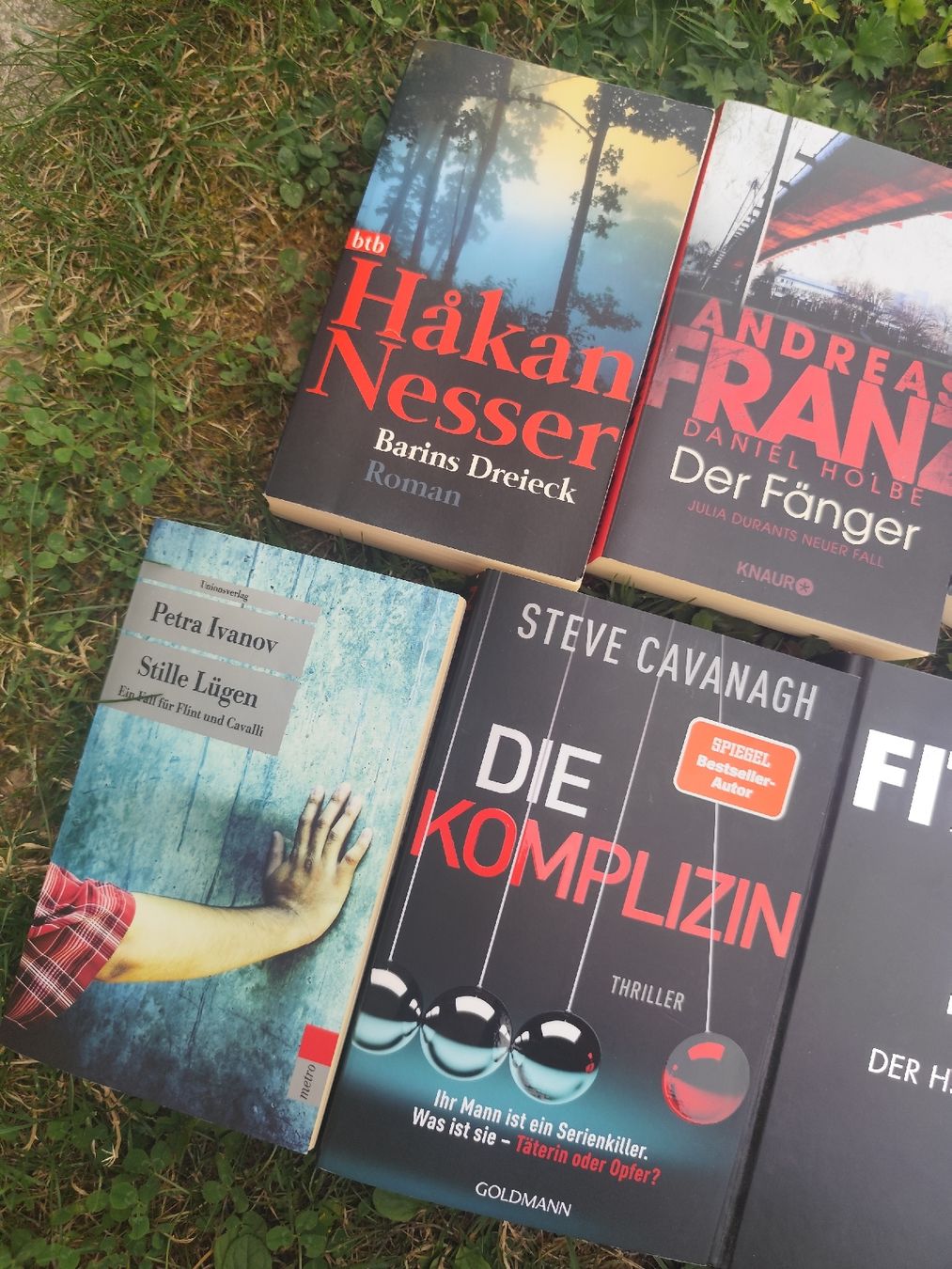 Libri: Thriller Crimi Books Bundle Set German – Usato da Mägenwil venduto da VintageGirly 1