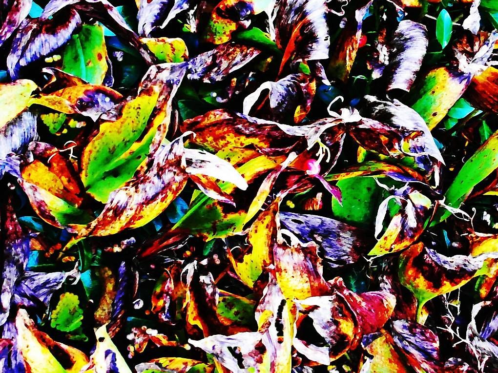 Poster & Bilder: Leinwandbild – Gebraucht aus Niederrohrdorf von phu_8rpt 2