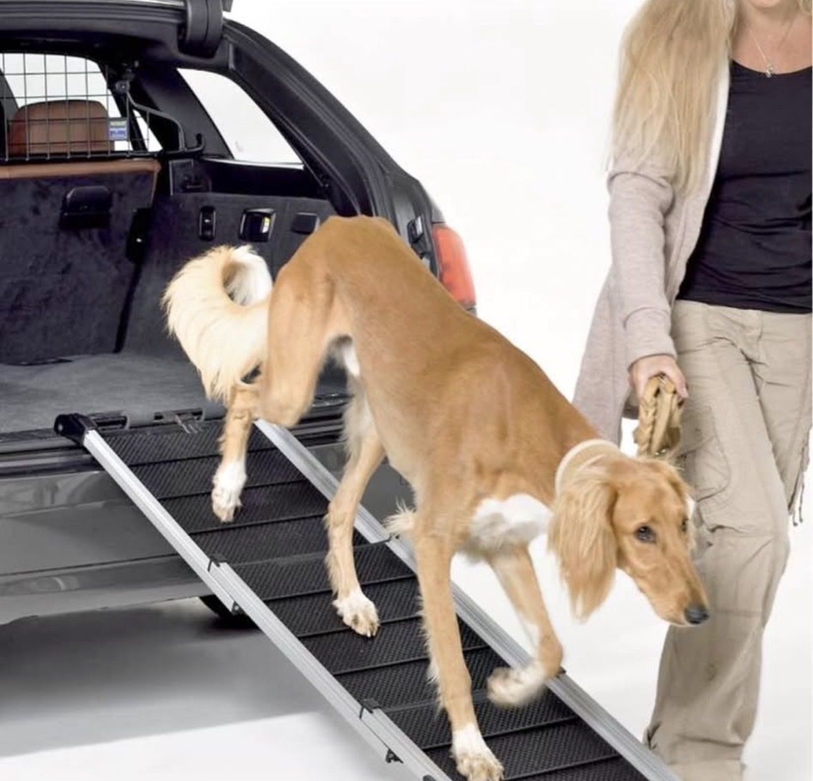 Käfige, Transport & Sicherheit: Hunderampe Dog Walk 3 – Neu (gemäss Beschreibung) aus root von 60377 2