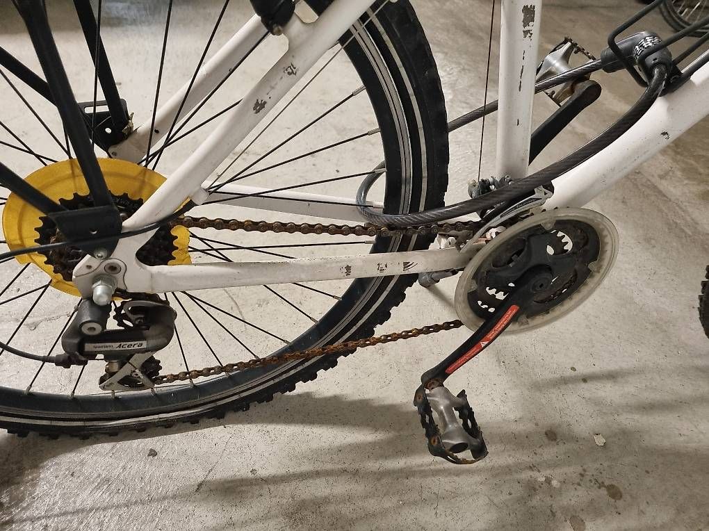 Vélos: Velo weiss – D'occasion à Zürich par Awipi 1