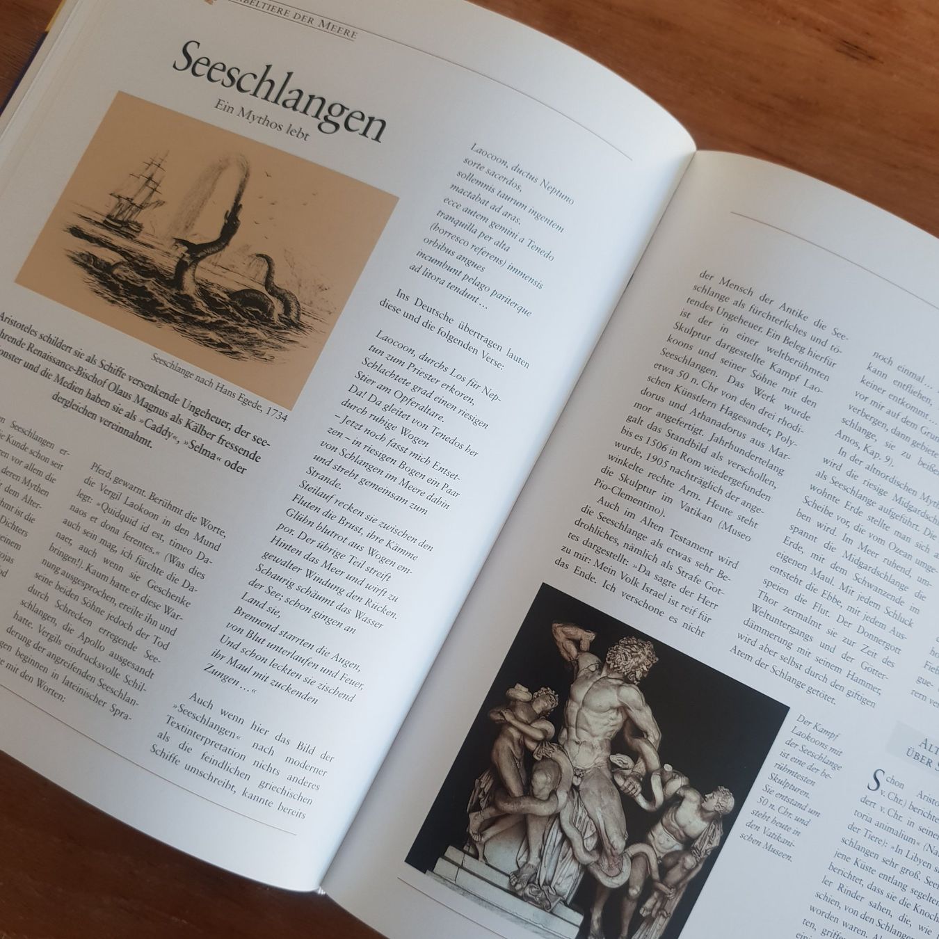 Bücher: 🐸 Von Drachen, Yetis und Vampiren – Gebraucht aus Môtier (Vully) von Frogs 6