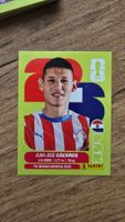 Panini WM 2026 Paraguay Juan Jose Caceres