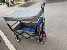 FUXTEC Bollerwagen mit Dach, Gurten & Polsterung
