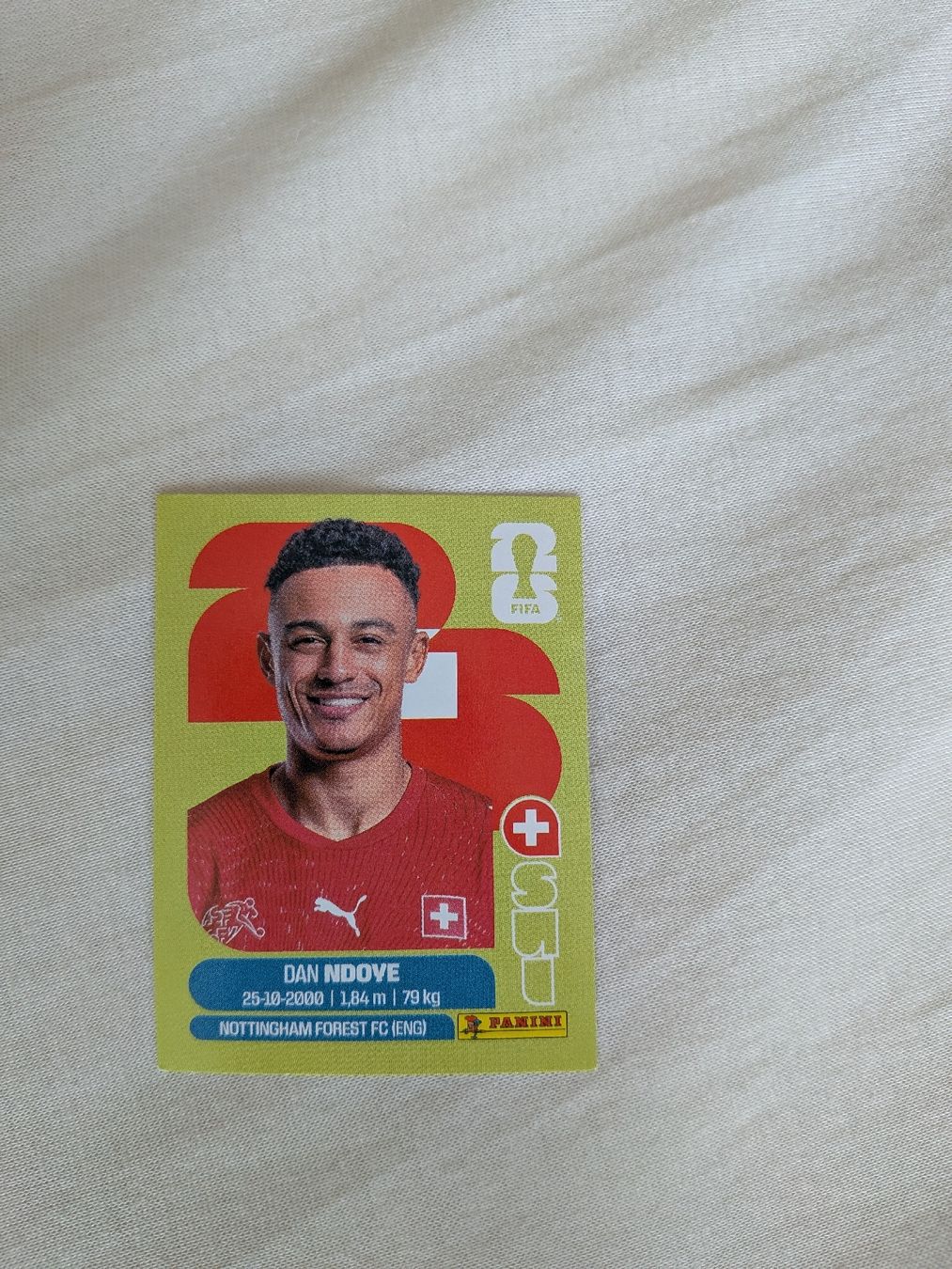 Panini Cartes à collectionner: Panini Bild SUI 19 – Neuf (Voir description) à Eschenbach SG par SanFranciscoCalifornia