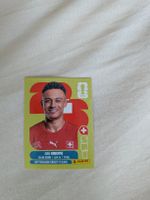 Panini Bild SUI 19