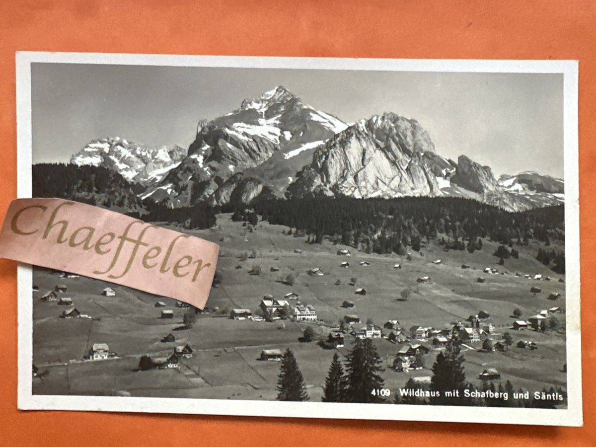 Cartes postales: Ansichtskarte Wildhaus mit Schafberg und Säntis.  – D'occasion à Zürich par Chaeffeler