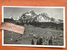 Ansichtskarte Wildhaus mit Schafberg und Säntis. 