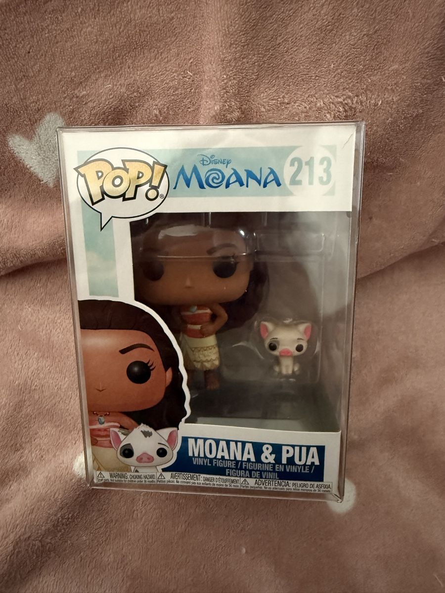 Funko Statuette: Funko Pop Moana und Pua – Nuovo (secondo la descrizione) da St. Gallen venduto da jennu7