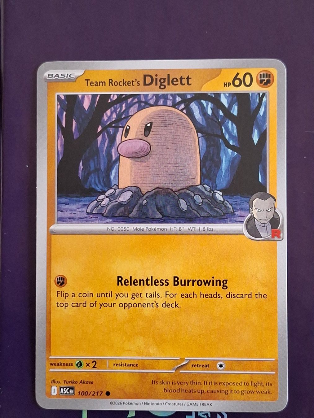 Pokémon Carte collezionabili: Team Rocket's Diglett - Pokemon Ascended Heroes – Usato da Altstätten SG venduto da GGsGameshop