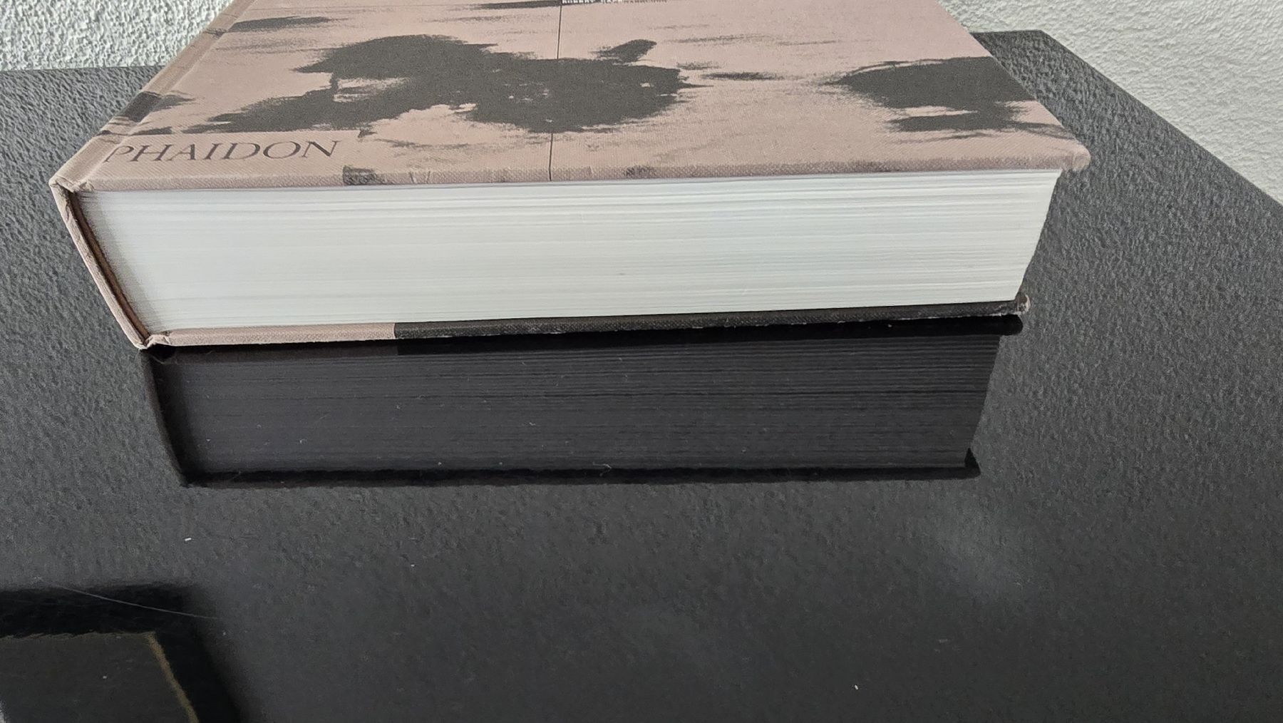 Libri: Phaidon Buch /Die Sammlung – Usato da wallisellen venduto da funkelsternchen5 1