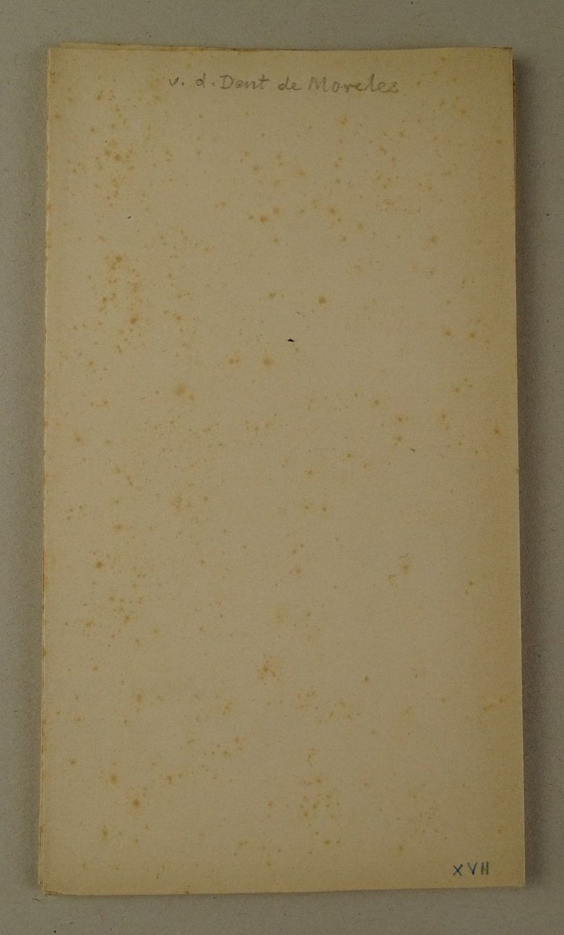Cartine & Atlanti: PANORAMA VOM VOM GIPFEL DER DENT DE MORCLES 1882 – Usato da Grüningen venduto da Kartensammler 6