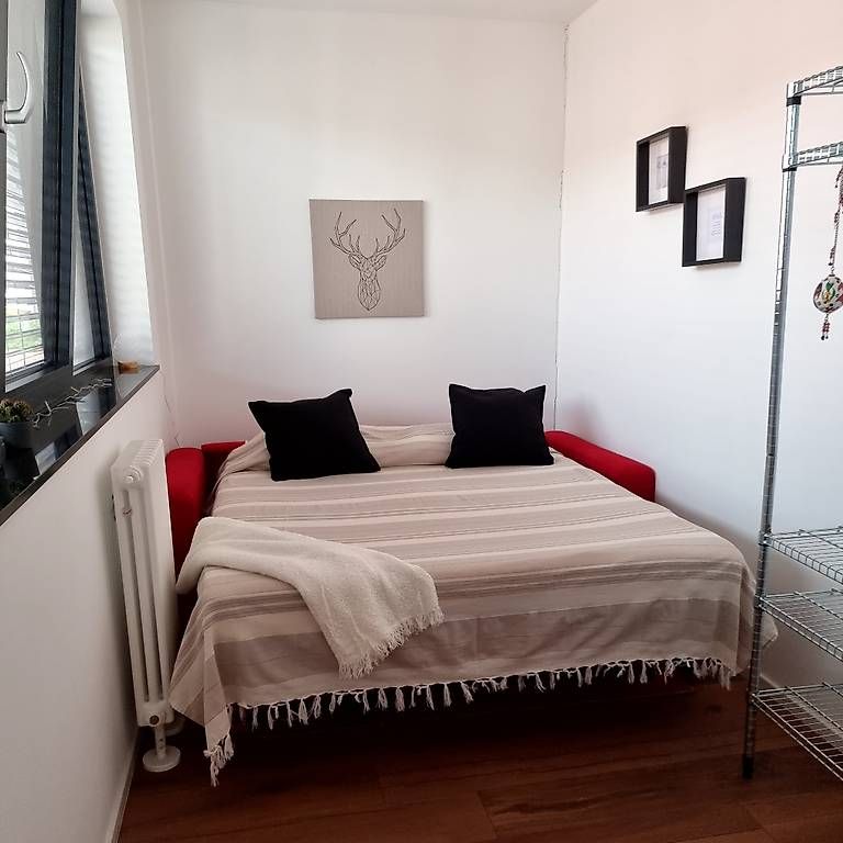 Divani: Divano letto rosso – Usato da Montagnola venduto da nat_qs7w 1