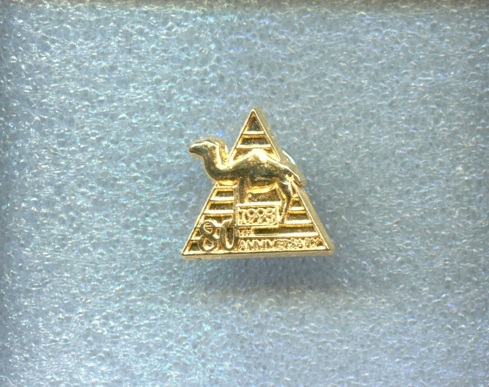 Camel Plaketten & Abzeichen: CAMEL – Gebraucht aus Winterthur von Sammleroase